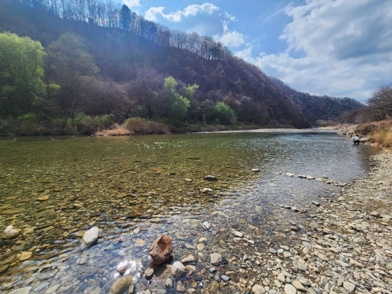 화랑 캠핑장 대표 사진