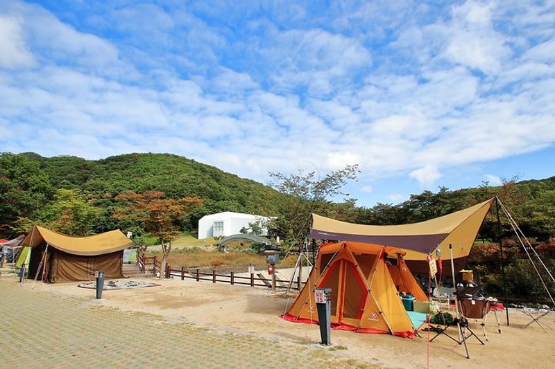 양주시 미술관옆 캠핑장 대표 사진