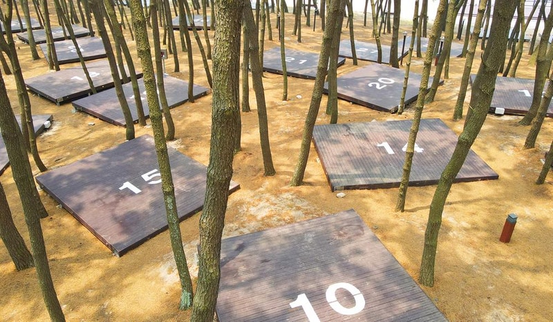 용두해수욕장 숲속야영장 시설 사진 4