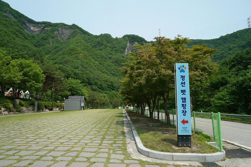 정선군생태체험학습장야영장 펫 동반 캠핑장 시설 사진 68