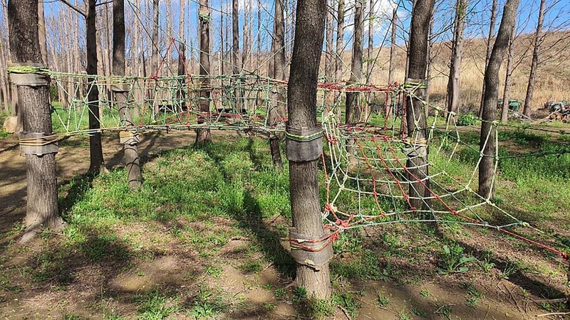 무릉관광농원 시설 사진 17