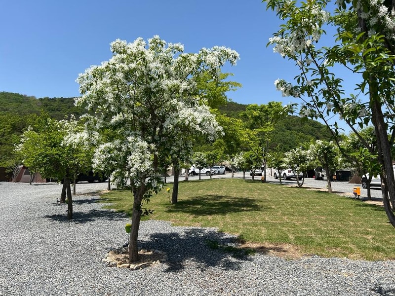 빨래터캠핑장 시설 사진 7