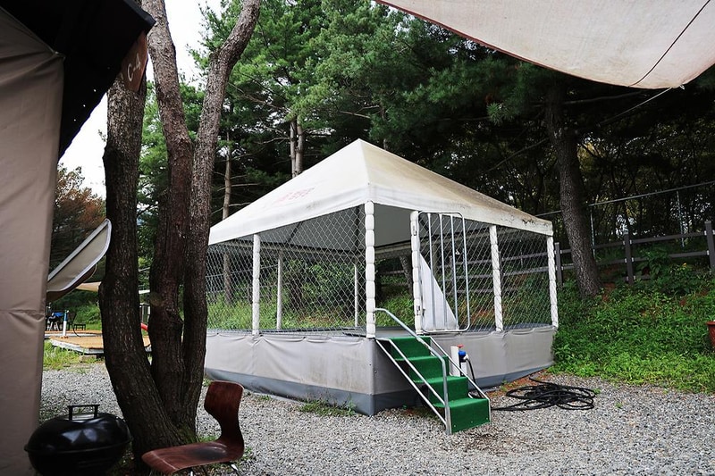 수원 솔내음 캠핑장 시설 사진 13