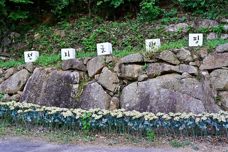 천지 글램핑 시설 사진 12