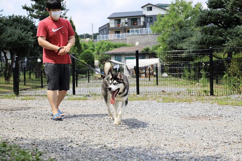 물동네 힐링 야영장 시설 사진 18