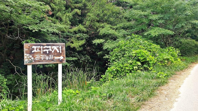 피구지 관광농원 시설 사진 36