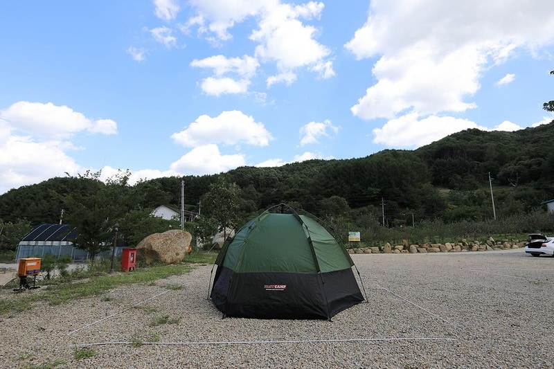 물한계곡소나무펜션 시설 사진 19