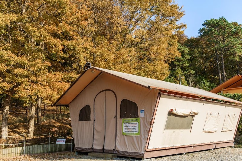 초막골생태공원 느티나무야영장 시설 사진 51