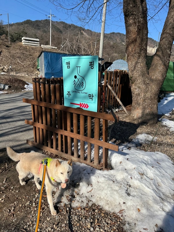 캠핑주막 대표 사진