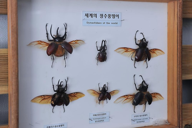 광릉솔개캠핑장 시설 사진 4