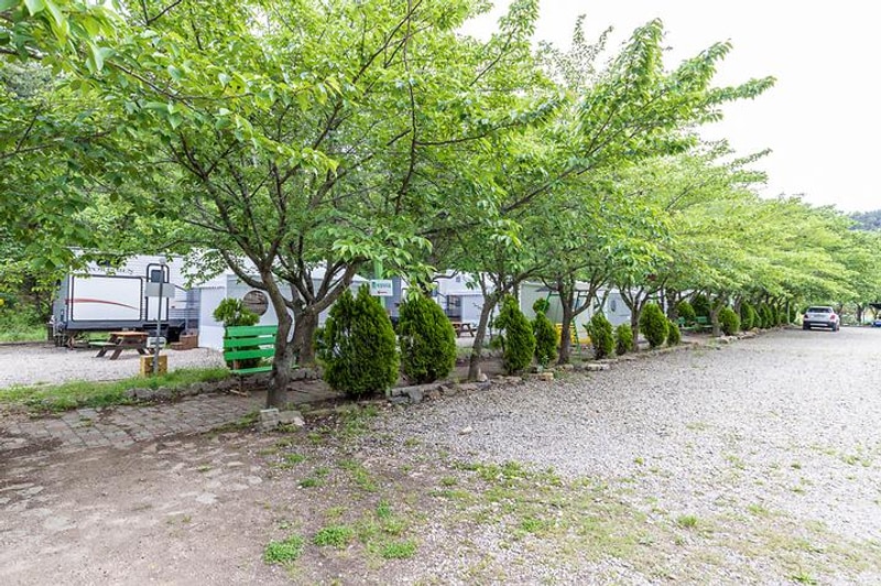 칠포그린로즈야영장 대표 사진