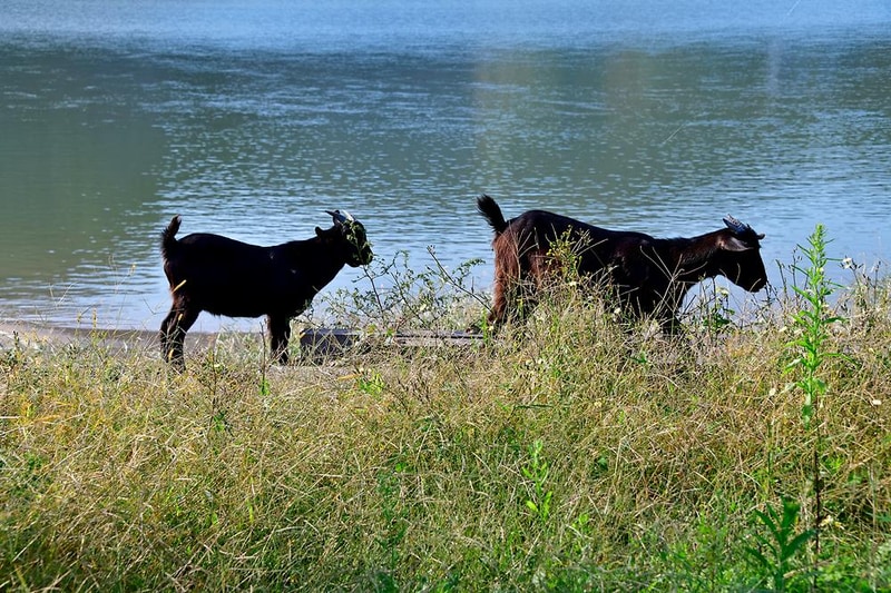 조개섬 야영장 시설 사진 13