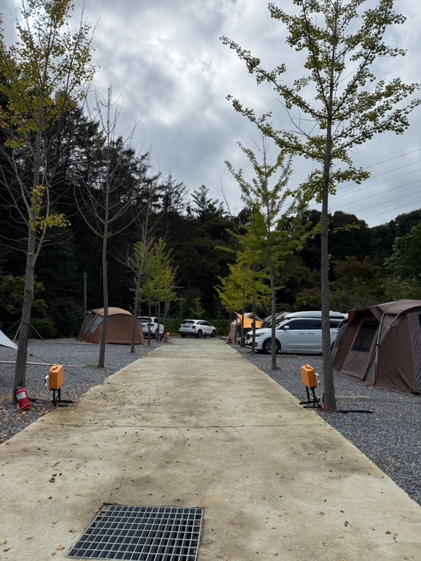 맑을 청 대표 사진