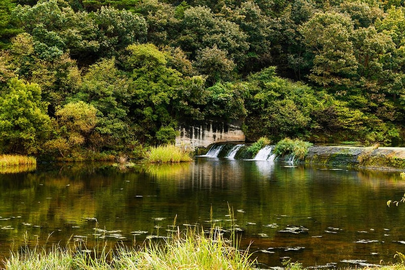 수림 휴원 시설 사진 6