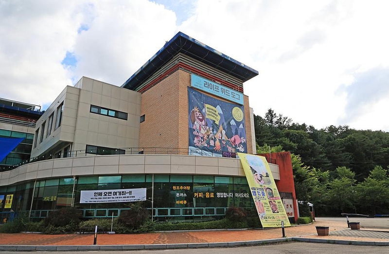 라이프위드도그 시설 사진 8