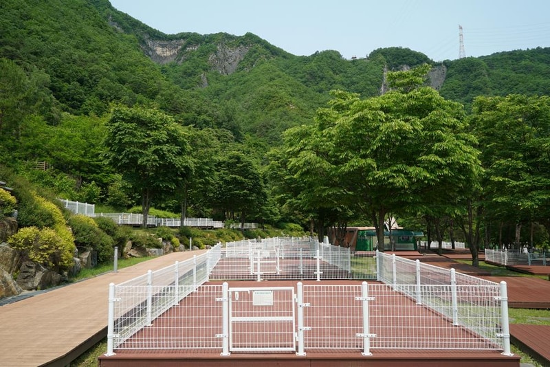 정선군생태체험학습장야영장 펫 동반 캠핑장 시설 사진 52