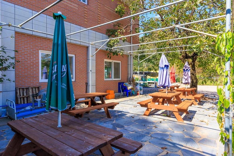 돌고래 오토 캠핑장 시설 사진 4