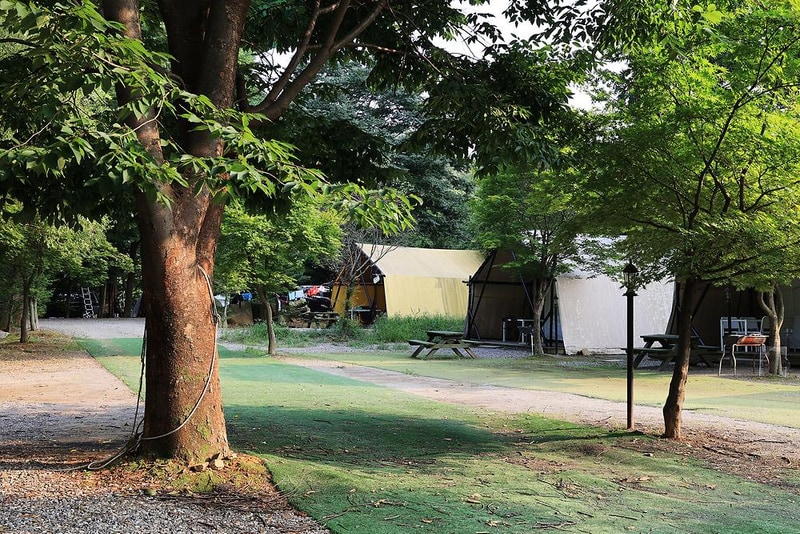 태양힐링숲 시설 사진 10