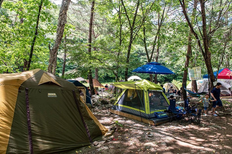 북극곰 야영장 시설 사진 19