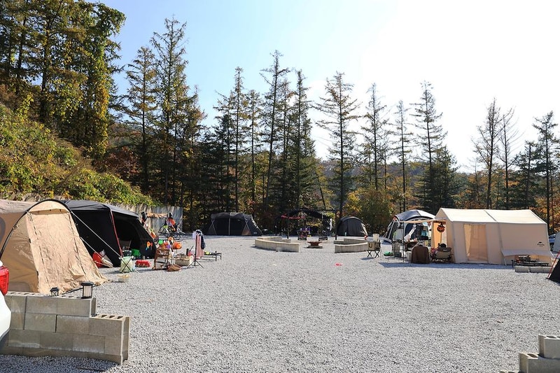 벤캠프(Ben Camp) 시설 사진 15