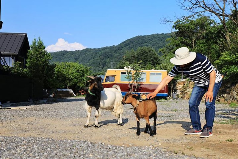 그림책동화마을 품 캠핑장 대표 사진