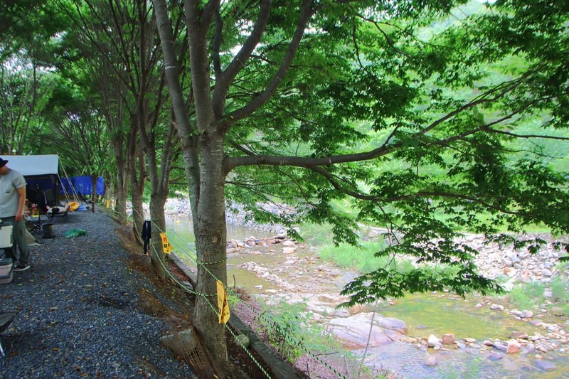 법흥계곡캠핑오늘 시설 사진 17