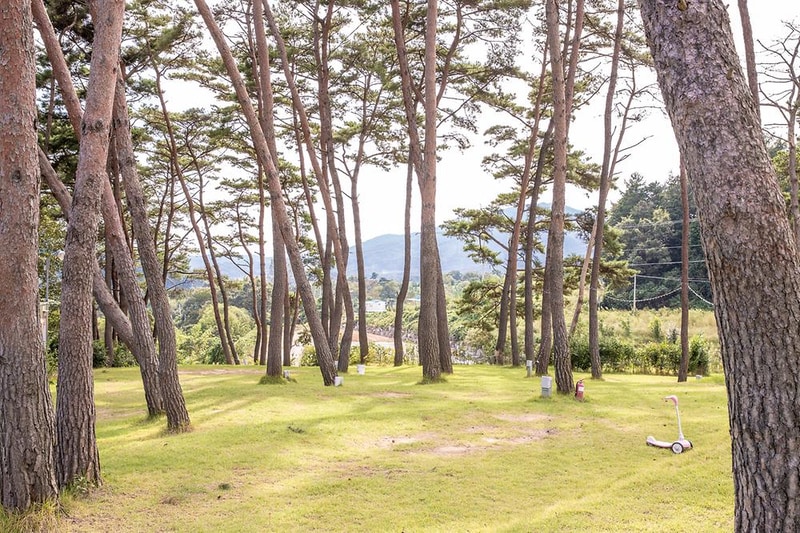 솔내음 물댄동산 야영장 시설 사진 1