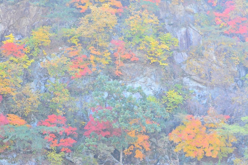 별빛누리 글램핑 시설 사진 16