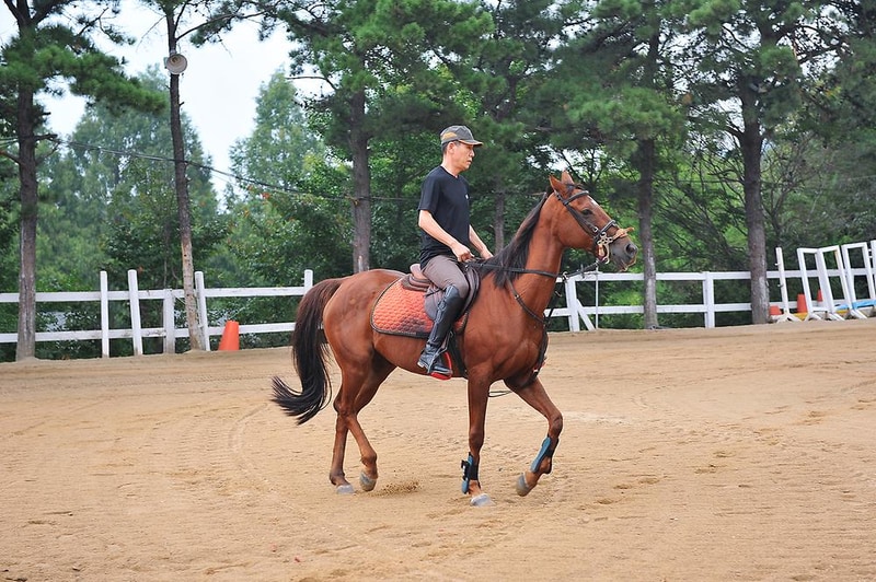 운악승마캠프 시설 사진 15