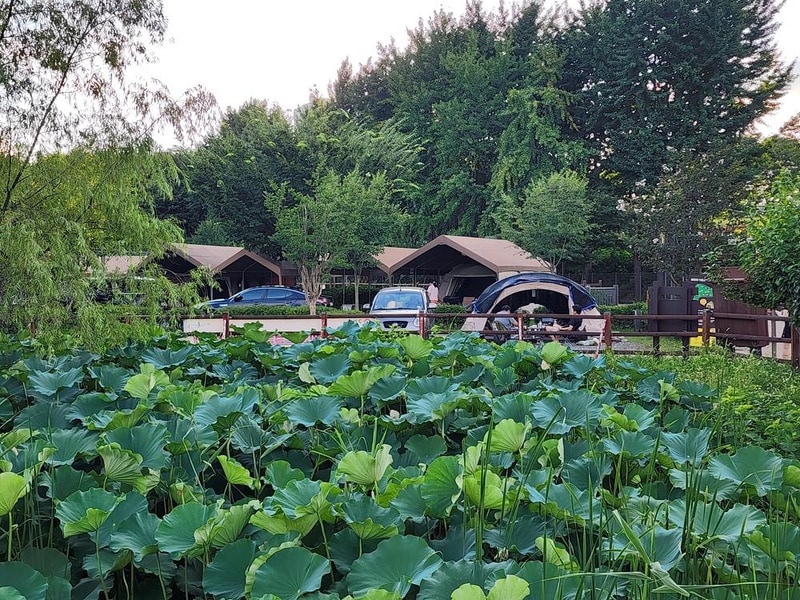 구리 토평 가족캠핑장 시설 사진 18