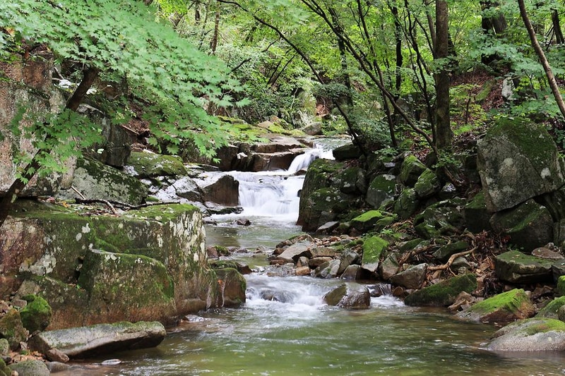 마루지 캠프 시설 사진 9