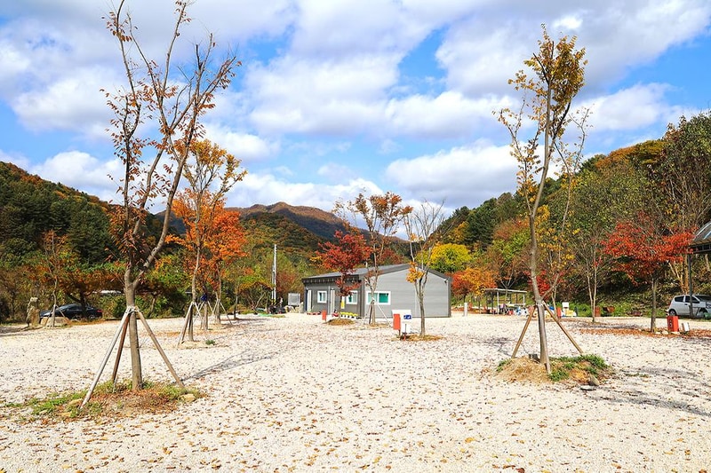 포천그린별캠핑장 시설 사진 13