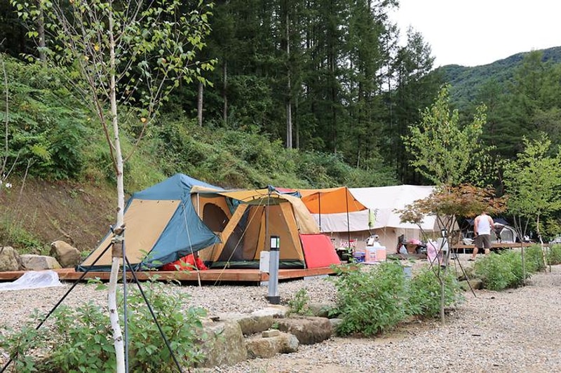 평창바샘캠핑장 대표 사진