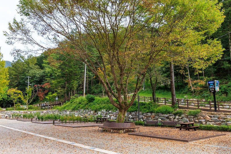 성수산 왕의숲 국민여가캠핑장 시설 사진 4