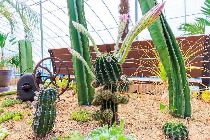 단아한 시설 사진 4