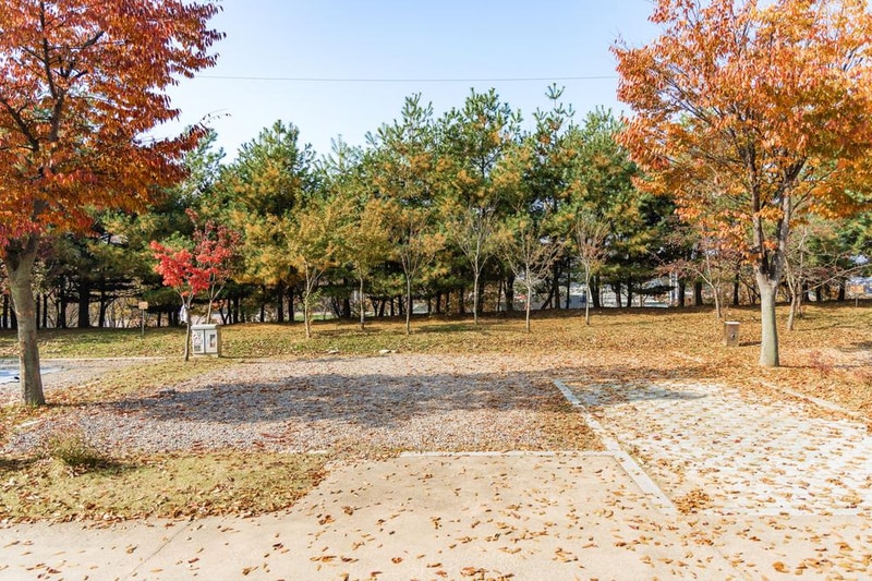 화성시 향남 오토캠핑장 시설 사진 70