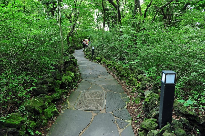 교래생태체험장 시설 사진 10