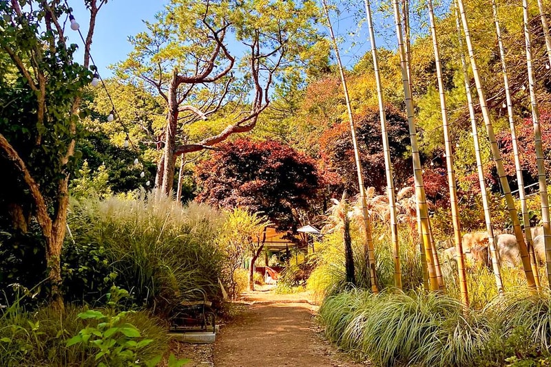 수피아 캠핑체험장 시설 사진 4