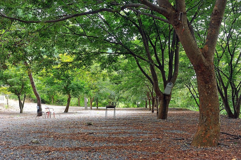 계곡과소나무 캠핑장 시설 사진 10