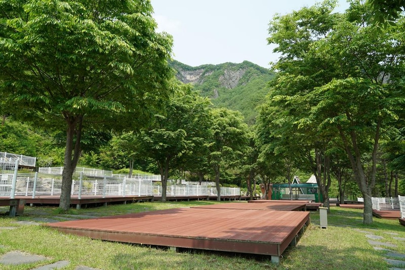 정선군생태체험학습장야영장 펫 동반 캠핑장 시설 사진 54