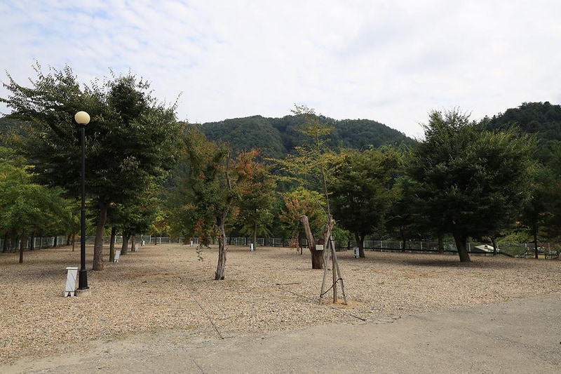 블루래빗 시설 사진 9