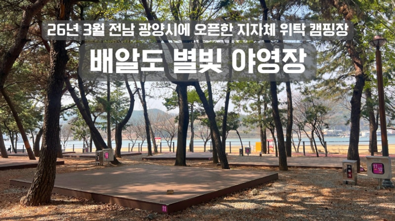 배알도 별빛야영장 대표 사진