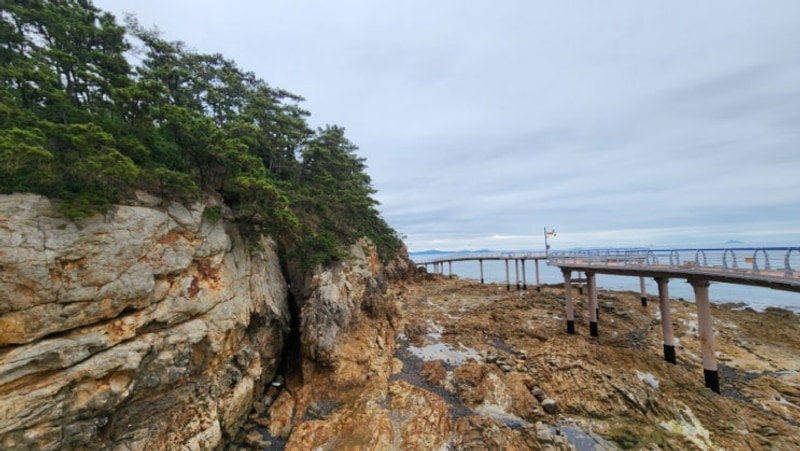 원산도 소록도 야영장