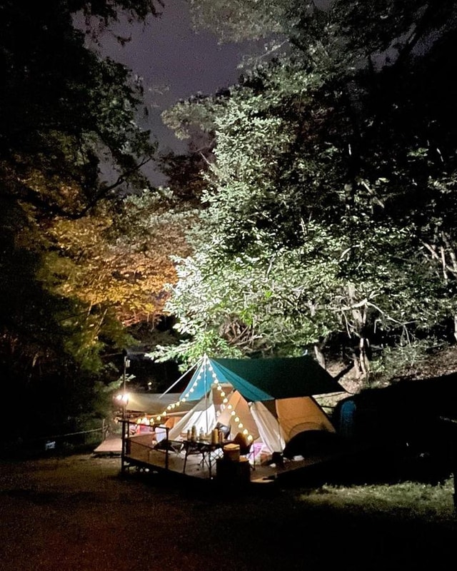 반달곰이 살던 숲 대표 사진