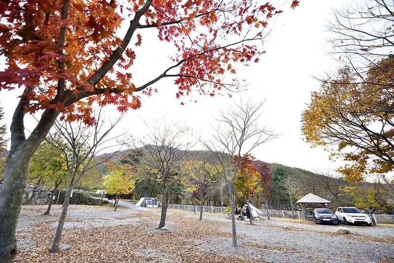 은석캠핑장 시설 사진 8