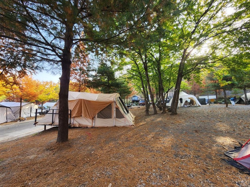 김포캠핑파크 주식회사 시설 사진 23