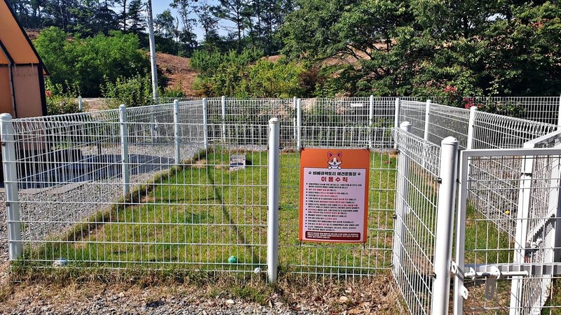 바베큐팩토리캠핑장 시설 사진 11