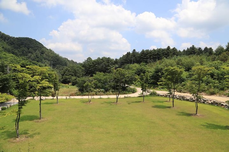 황학동캠핑장 대표 사진