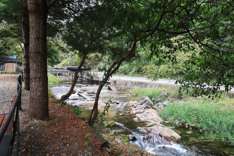 숲속에 머물다 시설 사진 12