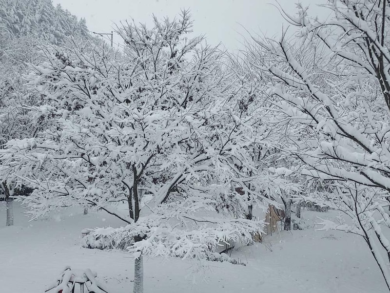 횡성산울림오토캠핑장 시설 사진 44